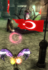 tc.png