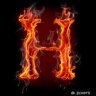 hasan2105