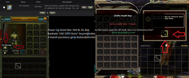 Vip_Vault_key.png
